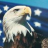 G.A.Broto.'s profile picture