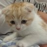 いた profil fotoğrafı