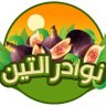 نوادر التين 的头像