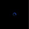 Javier Hernandez's profile picture