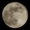 Profilbild von moon🌙