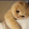 MM's profile picture