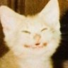 CAMPS's profile picture