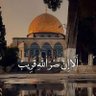 Фото профиля mohamed el jalaoui