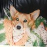 katelynp profil fotoğrafı