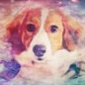 Emi H's profile picture