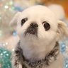 もっちむ。 profil fotoğrafı