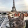 QC-LEE's profile picture