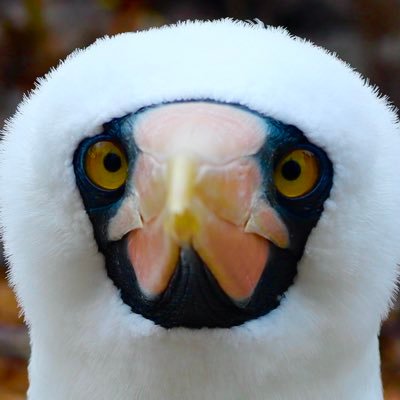 MonkEmma's profile picture
