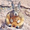 Profilbild von Fugasok