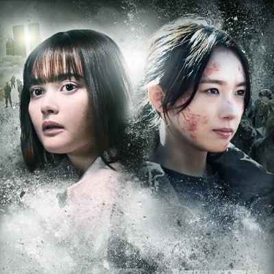 kimiseka_ntv's profile picture