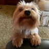 Massdog profil fotoğrafı