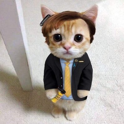 Saul Meowman's profile picture