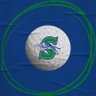 BSS Jaguar Golf's profile picture