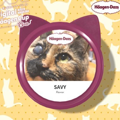 サビー's profile picture