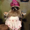 Irishka's profile picture