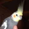 Profilbild von Rick
