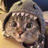 Snuggles profil fotoğrafı