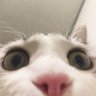 Profilbild von scotty