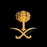 عاشق.الليل🎑🛻 و🐅 profil fotoğrafı