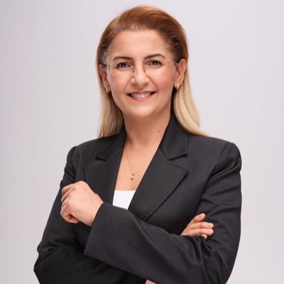 AysegulOzOv's profile picture