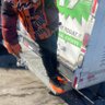 Mr Everywherebackwards's profile picture