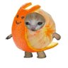 Gloopglorp profil fotoğrafı