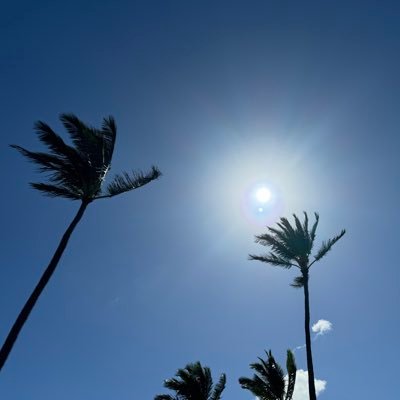 vncvr1982's profile picture