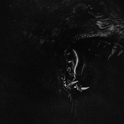 MORTAL REMINDER's profile picture