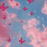 فراشه 🦋💖 的头像