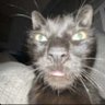 Ry profil fotoğrafı