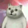ᅟᅟ's profile picture
