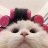 its.me profil fotoğrafı