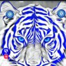 alhrpi70 profil fotoğrafı