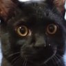 梨乃塚摩耶緒!'s profile picture