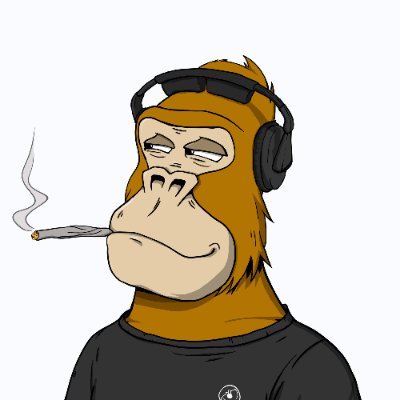 Chilled Kongs's profile picture