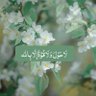 Фото профиля الله يوفقني وبس