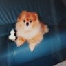 Profilbild von emi