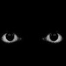 Profilbild von Biola_