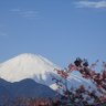 ケンちゃん profil fotoğrafı