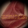 Profilbild von سلطان عجاج الحجيفي الشمري
