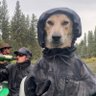 Profilbild von енигма