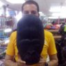 elbadry's profile picture