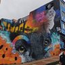 Фото профиля Zona4