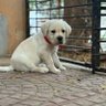 VD 🫡 profil fotoğrafı