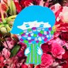 🪷FlowerShop nakano 🪷中野生花店 di taichi matsuo ❲D's❳'s profile picture