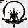 TooTenseLenny's profile picture