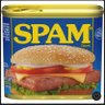 Spamsandwich 的头像