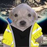 cyberpup profil fotoğrafı