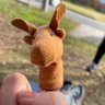 N.ayk.N's profile picture